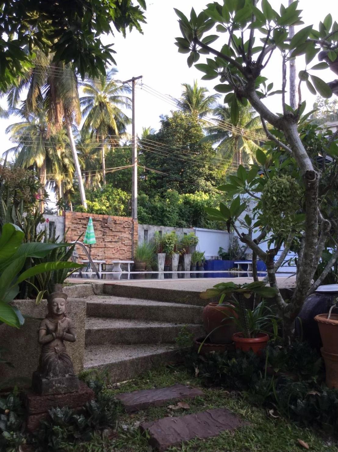 Ananas Samui Ostello
